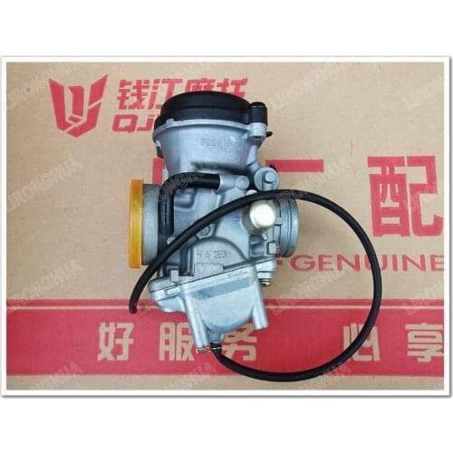 Blaupunkt QJ150-17A Motorcycle Accessories Dragon Money Jianglong QJ150-19C Carburetor