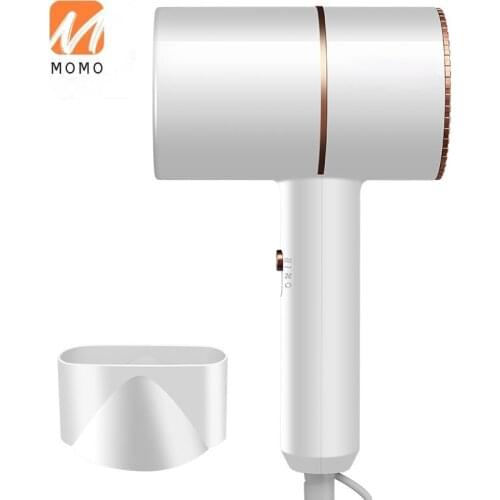 Hair Dryer Household Daily Anion Hair Care Mute Quick-Drying Low Power