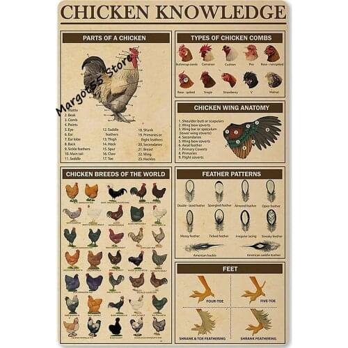 Chicken Knowledge Metal Tin Sign Chicken Breeds of The World Infographics Retro Poster Plaque for Club Cafe Bar Home Kitchen