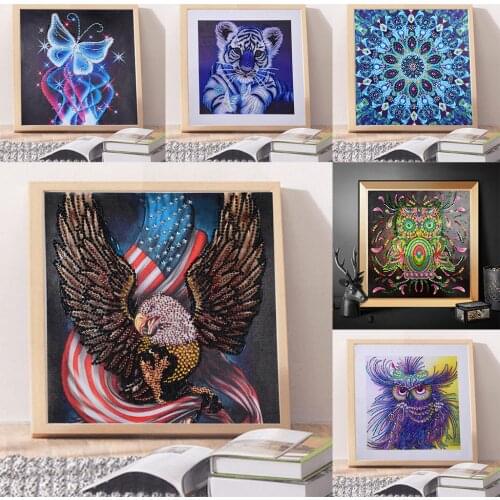 5D DIY Diamond Painting Kits Special Shaped Drill for Adults Crystal Picture Art Cross Stitch Artwork Mosaic Wall Decor