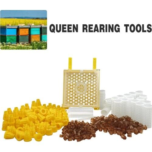 Beekeeping tools Germany Jenter Queen Rearing Kit Queens cage System For Beekeeper