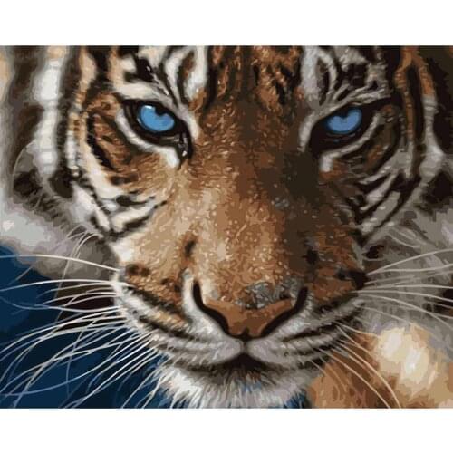 Paint by Number Diy Gift Kit Tekening Op Canvas Olieverf Picture Wall Art Home Decoration 40X50cm Frame Fantasy Tiger Animal