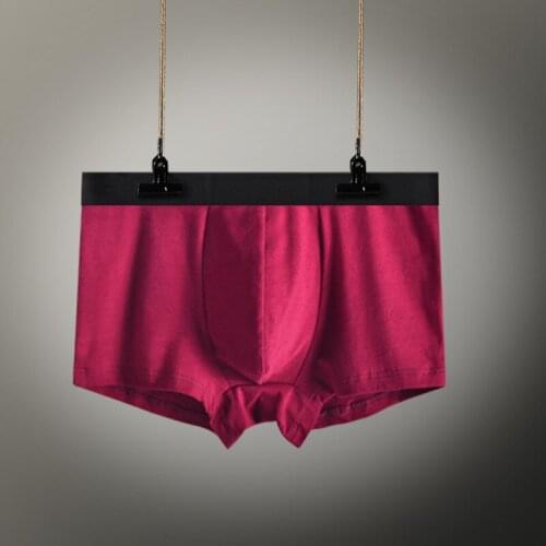 3pcs/lot Hot Sale Comfortable Underpants Men Summer Ice Cool Male Underwear Sexy Underpants Panties Plus Size L-5XL