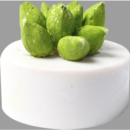 Succulent Silicone Mold DIY Jewelry Tools Silicone Mold Table Crafts Making Creative Molds for Jewelry Making decoration