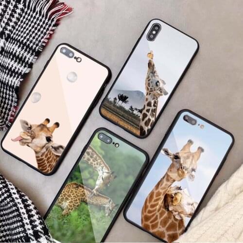 Giraffe Animal Tempered Glass Phone Case For iphone 12 11 Pro Max 5 6 7 8 X XS XR XSMax Shell 12Pro Max Cover Shell