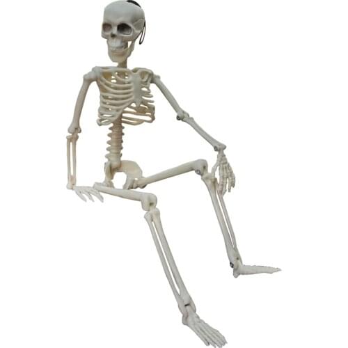 1 pcs Human body plastic skeleton Student laboratory model spoof props Retro ornament decoration 40cm in height Halloween props