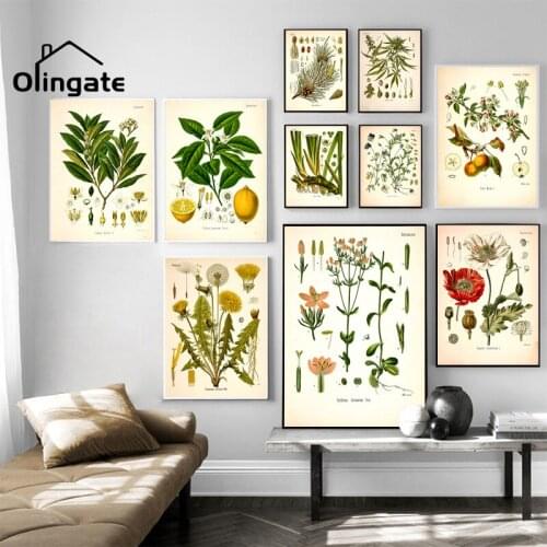 Vintage Botanical Fruit Canvas Poster Green Plant Wall Picture Print One Piece Canvas Painting Home Decor for Laboratory School