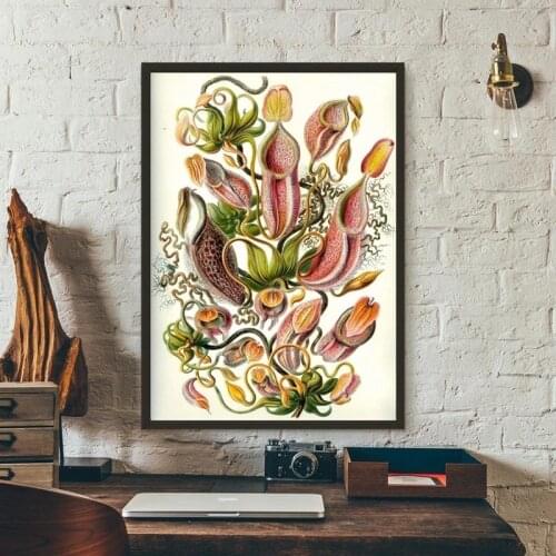 Retro Poster Carnivorous Plant Poster Haeckel Nepenthaceae Tropical Pitcher Plants Monkey Cups Prints Wall Art Painting