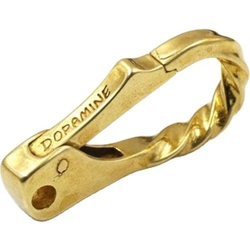 20*40mm Spiral Helix Clasps Clip Buckle Ring Snap Hook For Kye Chain Webbing Strapping Pet Collar Leather Craft Belt Accessories