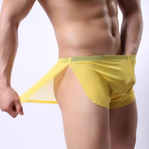 Mens boxers short health underwear mesh Boxers Translucent breathable Men sexy Ultra-thin low waist arrow pants