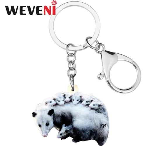 WEVENI Acrylic Novelty Gray Possum Key Chains Key Ring Fashion Animal Jewelry For Women Girls Party Gift Charms Bag Car Pendant