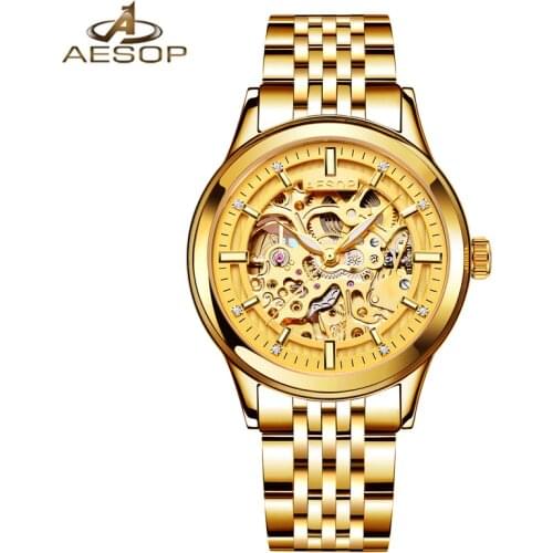 AESOP Brand Automatic Watches Men Women Fashion Waterproof Luminous Gold Skeleton Mechanical Wristwatch Clock Relogio Masculino