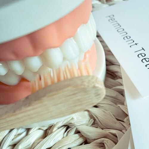 Montessori Baby Toys Basic Life Skill Learning Materials Brushing Teeth Training Toy For Children Juguetes Montessori F1744H