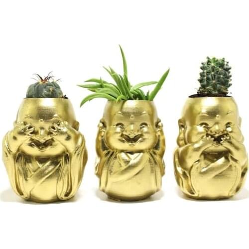 3 baby Buddha Cactus Sukulent Pot PCs Set Set 430029535