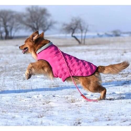 Winter clothes for dogs for Small Medium Dogs Warm Windproof Thicken Pet Padded Vest Puppy Costume For Teddy Dogs clothing