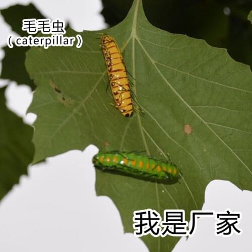 50pcs/ a lot Folk Art Clay Material Artificial Insect Model Crafts Handmade Solid Figure Cicada MM-017