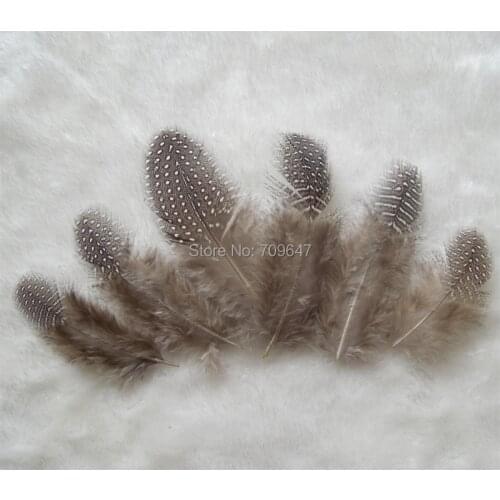 100pcs/lot!5-10cm Guinea Fowl Feathers Real Feathers Spotted Loose Natural Feathers For Crafts With Small White Polka Dots