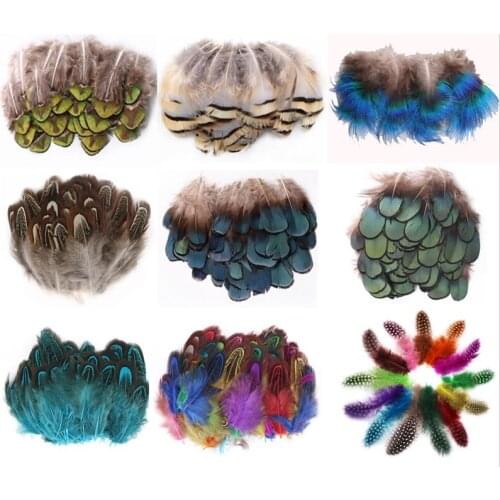 4-8cm 100pcs Natural Peacock Pheasant Feather for Needlework and Handicrafts Headdress Small Decor Jewelry Creation