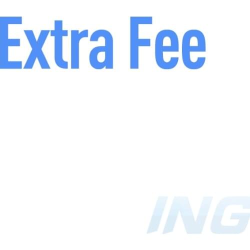 INGS Extra Fee