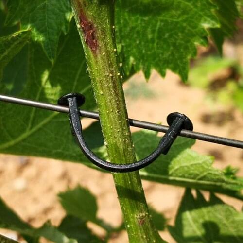 100 Pcs Plants Bundled Lashing Hook Garden Accessories Fixed Vegetable Strapping Of fruit Vines for Garden Tree Climbing Support