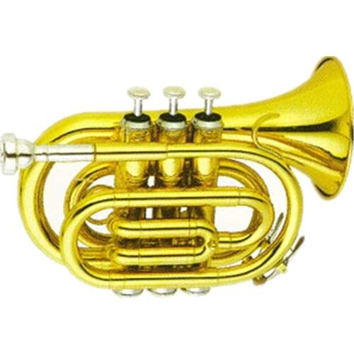 Gold lacquer Pocket Trumpet Brass body Cupronickel valves Tone Bb