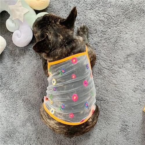 Short Dog Vest Skirt Cat Puppy Small Dog Clothes Summer Pet Clothing Yorkshire Pomeranian Poodle Pug French Bulldog Dog Costumes