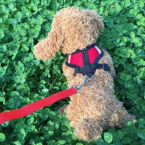Adjustable Ling Chong Pet Dog Leads Chest Straps Small Pet Dog Harness Walking Lead Leash for Small Medium Dogs Puppy Vest Perro