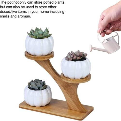 Succulent Plant Flower Pot Holder Ceramic Pumpkin Pattern Pot Treetop Shaped Bamboo Shelf Pot Planter Set For Home Decoration