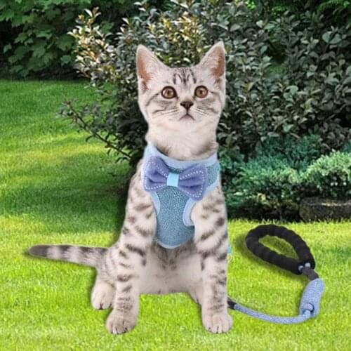 Pet Vest Nylon Mesh Cat Harness And Leash Breathable Kitten Cats Harnesses Small Dog Puppy Harness For Small Medium Dog Cat Pet