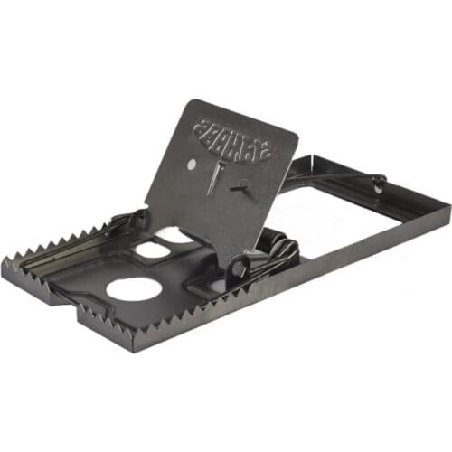 Big Mouse Trap 2 Pcs