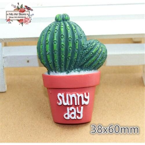 2pcs/lot DIY resin cabochons accessories Flat back resin cactus big size for phonecase DIY RC201