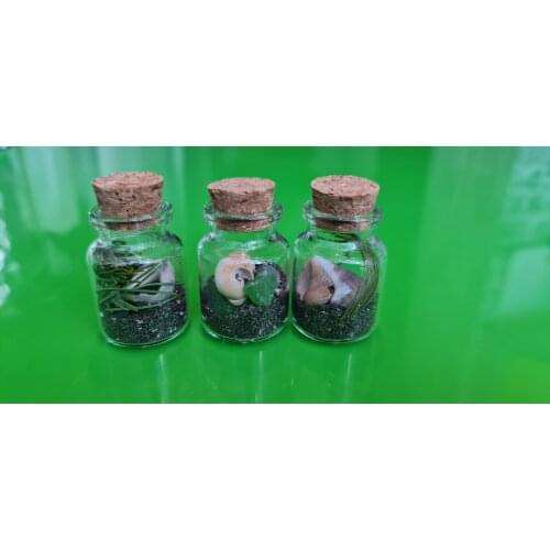 Kamline Storage Jars