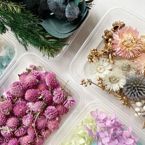 Hot 1 Box Real Dried Flower Leaf Dried Daisy Flower For Making Craft Aromatherapy Candle Resin Pendant Jewelry DIY Accessories