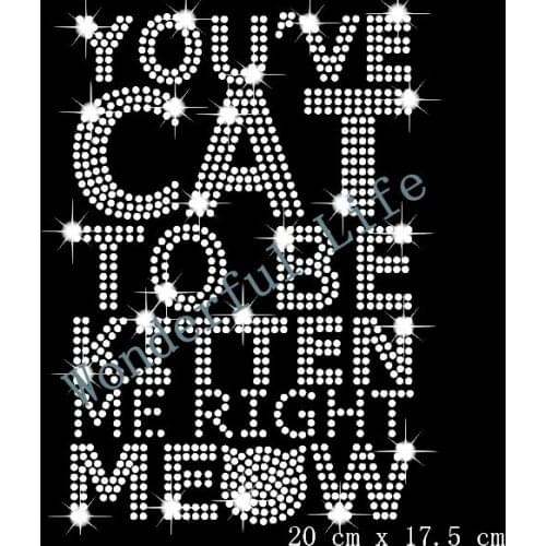 Free shipping hotfix rhinestone Iron On bling transfer design motif you have cat to be kitten words