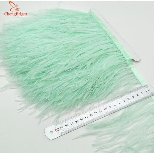 ChengBright Wholesale High Quality 10Yards Mint Green Ostrich Feather Ribbon Ostrich Feathers Trim Fringe Clothing Decoration