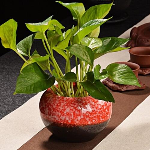 Fashion personality color ceramic flower pot