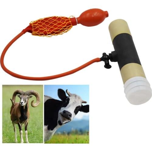 Livestock Cattle sheep semen collection device False artificial vagina ejaculations instrument ejaculations cup