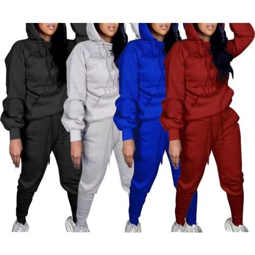 Plus size clothing 2 piece set Hooded Tracksuit Women Sportswear Casual Set Sweat Suit