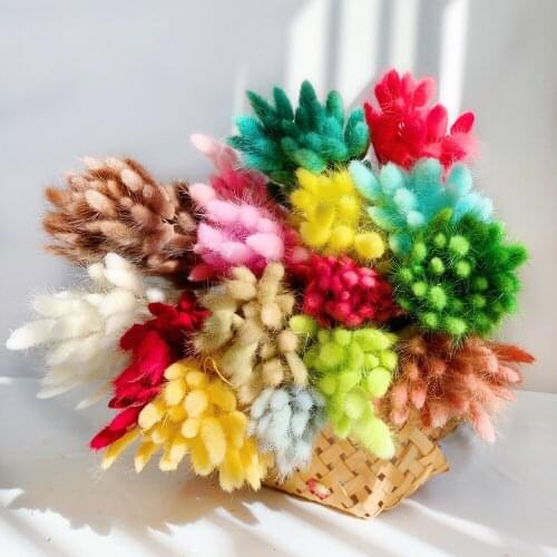 60Pcs/lot Gradient Lagurus Ovatus Natural Dried Flowers Rabbit Tail Grass Real Flowers Bouquet DIY House Wedding Home Decoration