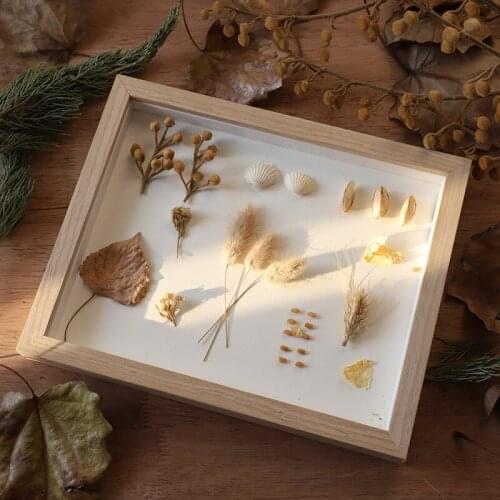 Creative Handmade Photo Frame DIYdried Flower Specimen Photo Frame 6 Inch 10 Inch Rectangular 3D Photo Frame Decoration