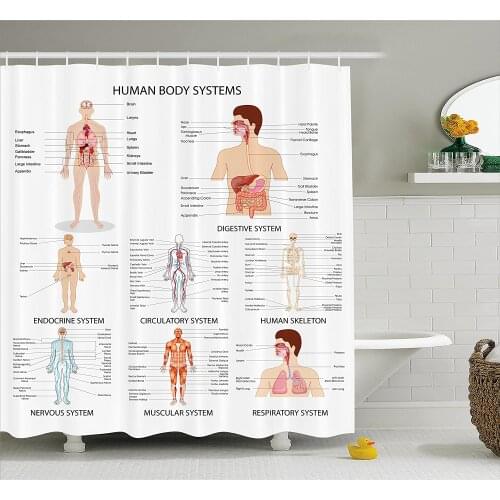 Human Anatomy Shower Curtain Complete Chart of Different Organ Body Structures Cell Life Medical Illustration Bathroom Curtains