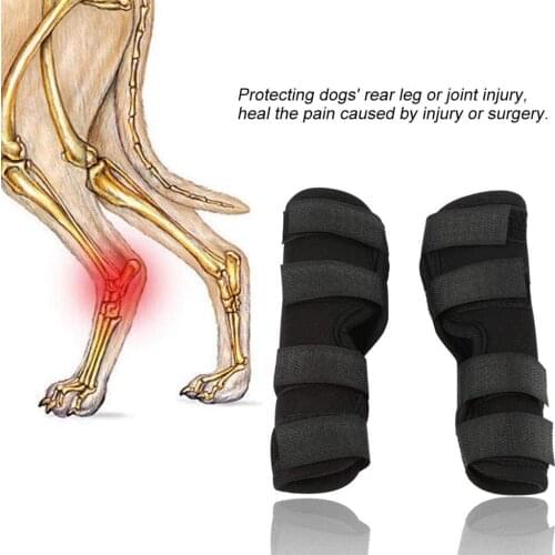 2Pcs/lot Pet Knee Pads Dog Support Brace for Leg Hock Joint Wrap Breathable Injury Recover Legs Dog Protector Support