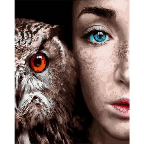 Frameless diy painting by numbers wall decor picture by numbers on canvas for home decor 4050cm lady with owl