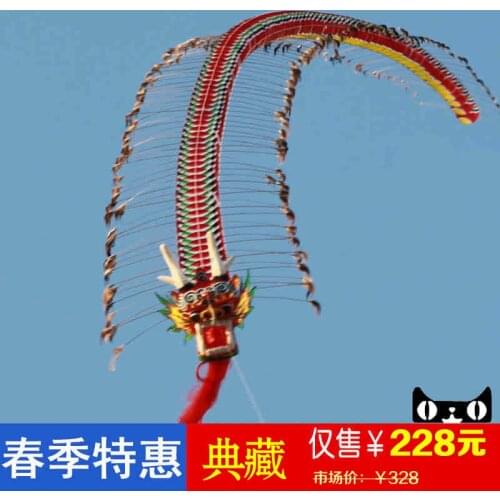 3D single line cerf volant cheap outdoor bamboo quality kites huge weifang long chinese tradition rainbow craft dragon kite led