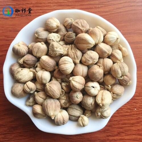 Round Cardamom Fruit Fructus Amomi Rotundus Bai Dou Kou
