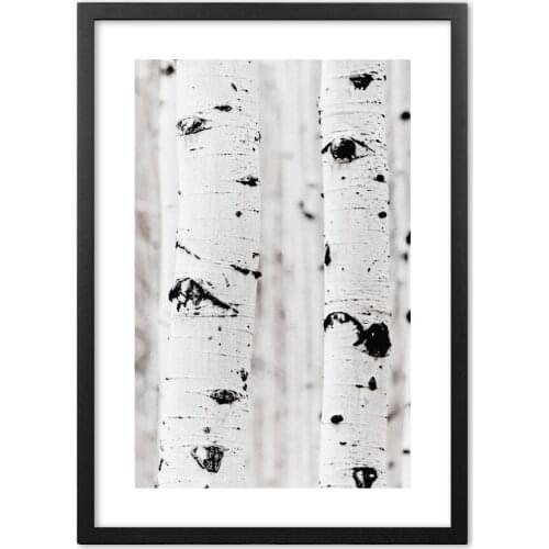 Birch forest Wall Art Print Paper Painting Nordic Posters And Prints Wall Pictures For Living Room Decor