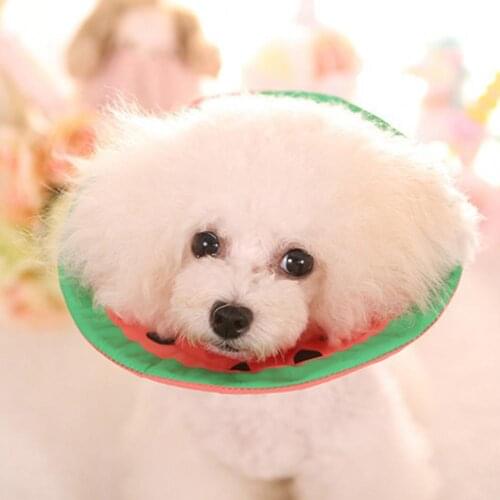 New Style Cute Elizabeth Collar Cartoon Printing Design Anti-licking Cotton Anti-bite Protective Circle for Kitten Dog Supplies