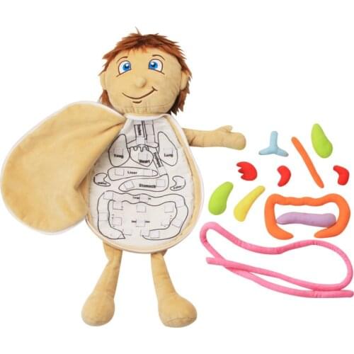 Soft Plush 3D Puzzle Human Body Model Anatomy Doll With Removable Organ Educational Learning Toy For Home Preschool Teaching Aid