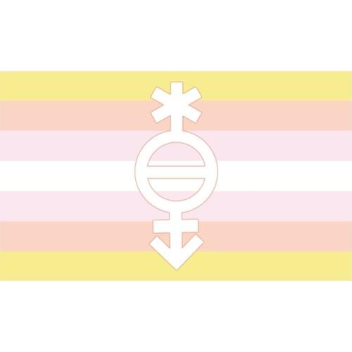 Pangender flags Decoration banner 90*150cm/ 3x5ft for hanging