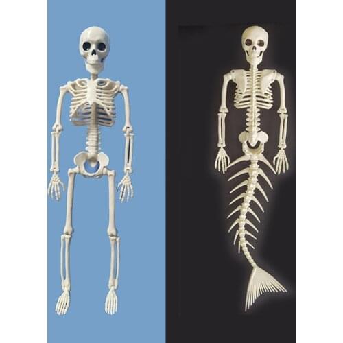 1 Pcs Human Or Mermaid Skeleton People Active Model Skeleto Anatomy Model Medical Learning Halloween Party Decoration Art Sketch